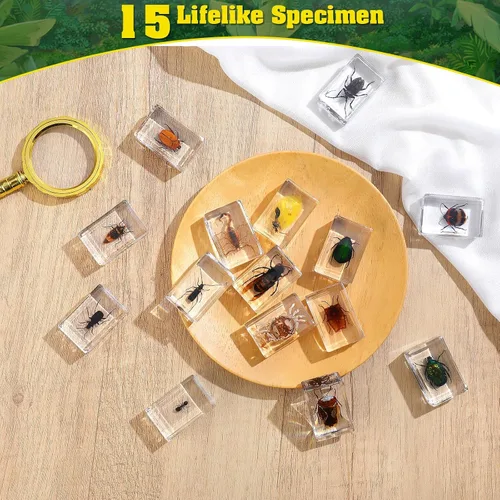 Miniatura 2 de Juego de 15 especímenes de resina de insectos reales, varios especímenes de insectos reales en resina para educación científica, biología