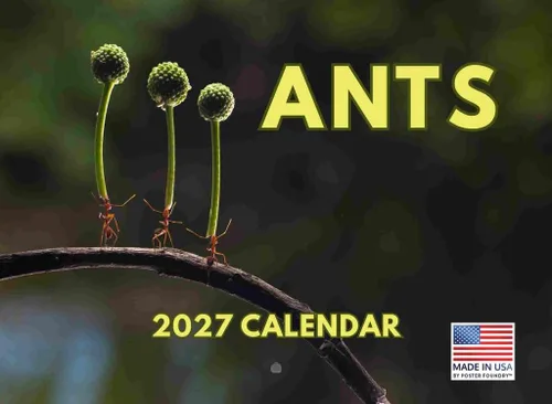 Miniatura 37 de Calendario alpaca 2026, calendario mensual de pared de 12 meses Hecho en Estados Unidos.