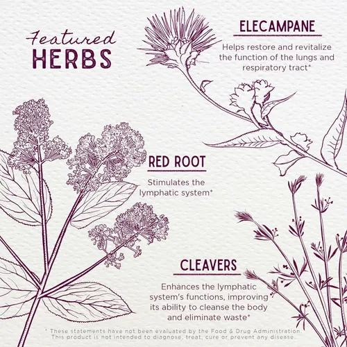 Miniatura 4 de WishGarden Herbs Respiratory Strength - Suplemento líquido diario de apoyo pulmonar con gordolobo orgánico, helenio y cuchillas, tintura pulmonar