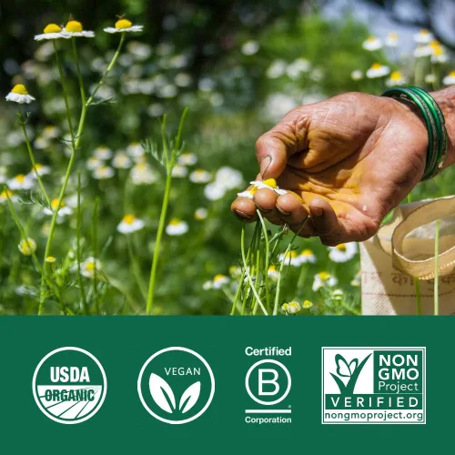 Miniatura 6 de ORGANIC INDIA Ceilán - Suplemento de hierbas de canela - Vegano, sin gluten, Kosher, certificado orgánico USDA, sin OMG, 90 cápsulas