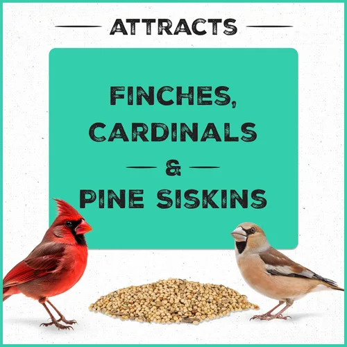 Miniatura 3 de Pennington - Pride Wild Finch - Mezcla de semillas para pájaros silvestres, 10 libras
