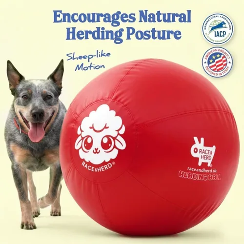Miniatura 2 de Race&Herd Pelota de pastoreo XXL original de 25 pulgadas para perros grandes, juguetes de pastoreo, pelota duradera para perros grandes al aire