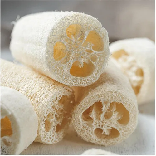 Miniatura 3 de Everwilde Farms - Semillas de calabaza de esponja Luffa de 1 onza - Gold Vault