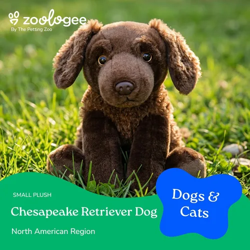 Miniatura 2 de The Petting Zoo Chesapeake Retriever - Peluche de perro de peluche, regalos para niños, juguete de peluche marrón de 9 pulgadas