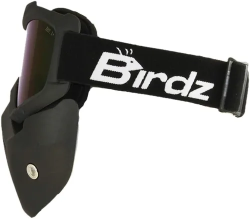 Miniatura 2 de Birdz Skullbird - Gafas protectoras acolchadas para motocicleta ATV, color negro, con cubrebocas