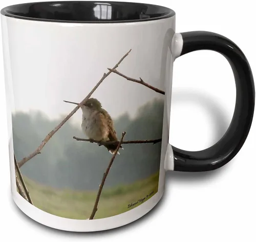 3dRose Female Hummingbird 11oz Two-Tone Black Mug
