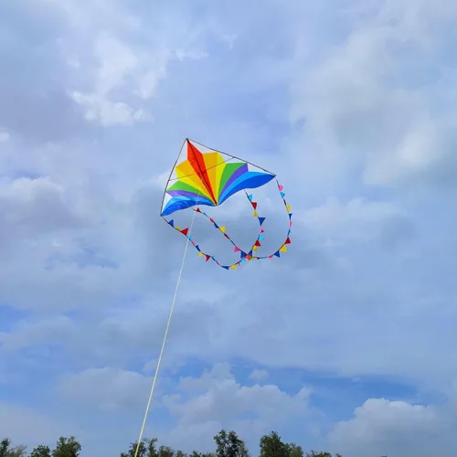 Miniatura 4 de Large Rainbow Delta Kite for Kids & Adults,Single Line Beach Kite for Kids Ages 4-8 & 8-12,Easy to Fly for Toddlers and Beginners