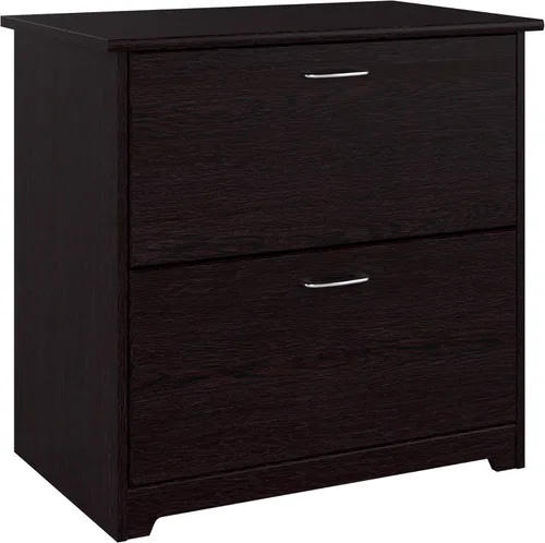 Bush Furniture - Archivador lateral Cabot Collection de 2 cajones con herrajes cromados, elegante archivador para oficina en casa, cartas, archivos