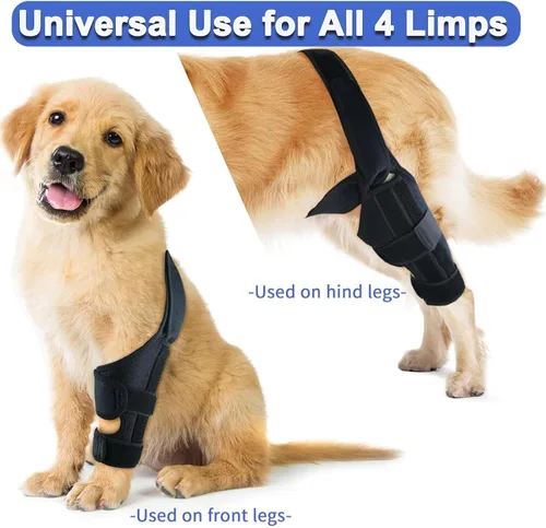 Miniatura 5 de Rodillera para perro para pierna trasera desgarrada del ligamento cruzado anterior, soporte ajustable para la pierna trasera delantera y trasera
