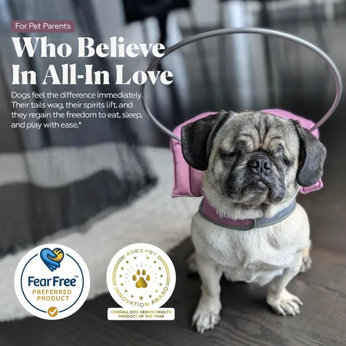 Miniatura 5 de Muffin's Halo® - El halo original para perro ciego Arnés y collar de parachoques accesorio para una navegación segura y confianza - Negro, talla 1