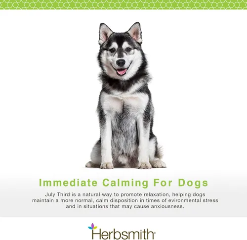 Miniatura 2 de Herbsmith Tercer de julio - Masticables calmantes caninos - Hierbas calmantes para perros - Suplementos de ansiedad para perros - Masticables