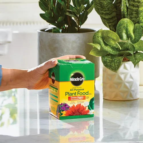 Miniatura 3 de Miracle-Gro Alimento vegetal multiusos soluble en agua, para todas las plantas de interior o exterior, rosas, flores, verduras, plantas