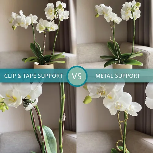 Miniatura 4 de Pequeño enrejado de metal para plantas de interior, estacas de metal para plantas trepadoras, soporte para plantas en maceta, orquídeas, Monstera