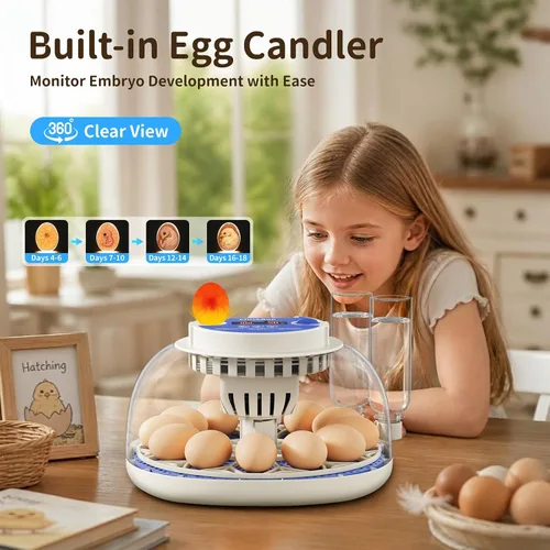 Miniatura 5 de Incubadora de 12 huevos con pantalla de temperatura y humedad, giro automático de huevos, vela de huevos, recarga automática de agua, para huevos