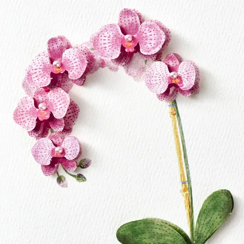 Miniatura 4 de Tarjeta de cumpleaños Hallmark Signature para ella (Orquídea)