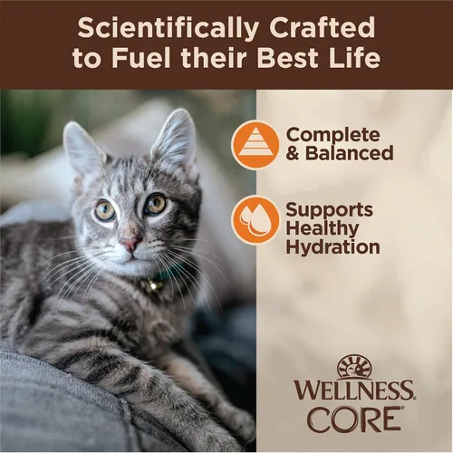 Miniatura 4 de Wellness CORE Tiny Tasters - Alimento húmedo picado para gatos adultos, natural, rico en proteínas, sin granos, receta de pollo, 1.75 onzas, paquete