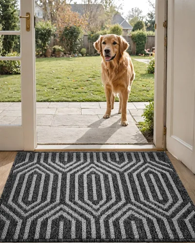 Miniatura 16 de DEXI - Alfombras para puerta de entrada, antideslizante, lavable, absorbente, resistente a la suciedad en el interior, alfombra de entrada de perfil
