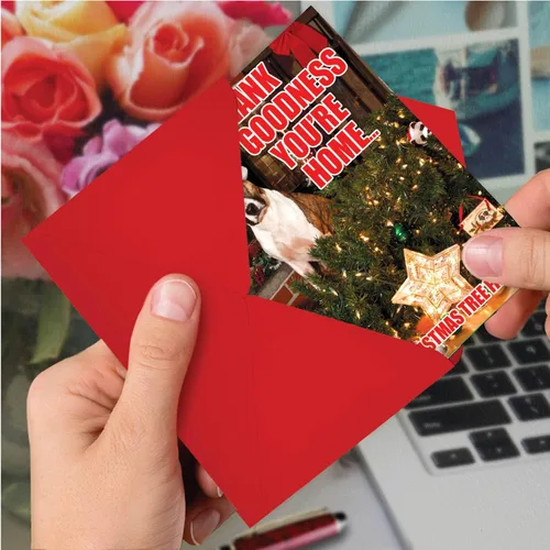 Miniatura 4 de NobleWorks Paquete a granel de 36 tarjetas de felicitación divertidas de Navidad con sobres, tarjetas divertidas en caja para perros y mujeres