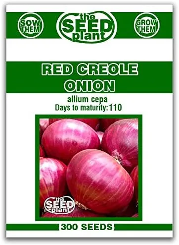 Semillas de Cebolla Criolla Roja - 300 Semillas