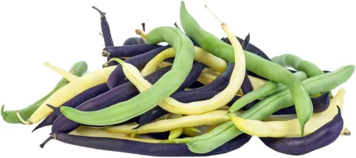 Miniatura 8 de Semillas de guisantes de azúcar para plantar verduras y frutas. Semillas de guisantes sin OMG para plantar verduras y frutas. Semillas de vegetales