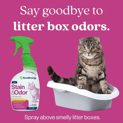 Miniatura 5 de Eco Strong Eliminador de manchas y olores de gatos Neutralizador de olores de orina enzimática – Quitamanchas para alfombras, cajas de arena, ropa