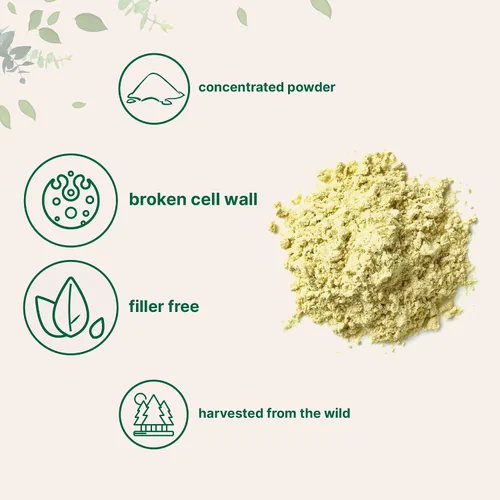 Miniatura 3 de Micro Ingredients Polvo de Polen de Pino Puro, 6 Onzas, Cosecha Silvestre y Pared Celular Rota, Apoya la Salud del Sistema Inmunológico, Aumenta