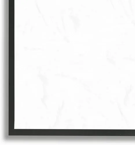 Miniatura 4 de Stupell Industries Arte giclée enmarcado con vegetación de cactus caprichoso, diseño de Ziwei Li Marco negro