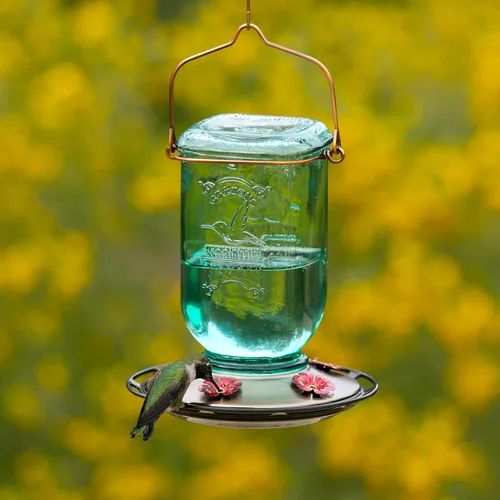 Miniatura 7 de More Birds - Comedero para colibríes de frasco Mason, comederos de vidrio para colibríes para exteriores, 5 estaciones de alimentación, 25 onzas