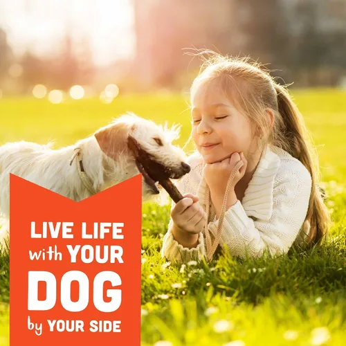Miniatura 7 de Cloud Star Corp, Wag More Bark Less Soft & Chewy - Golosinas para perros de mantequilla de maní y manzanas sin granos