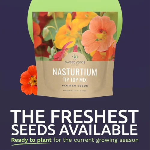 Miniatura 2 de Nasturtium Tip Top Mix - Paquete grande de 1 onza - 200 semillas de flores para plantar - Tropaeolum majus