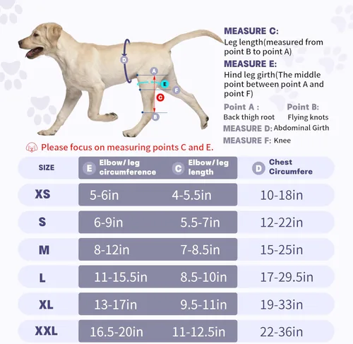 Miniatura 7 de Rodillera para perro de 4 patas, rodillera ajustable para perro con material reflectante, proporciona un fuerte apoyo para perros pequeños, medianos