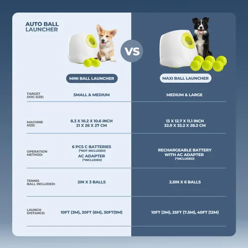 Miniatura 8 de ALL FOR PAWS Lanzador automático de bolas para perros, máquina interactiva para cachorros, bolas para mascotas, para exteriores, 6 bolas incluidas