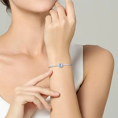 Miniatura 11 de Pandach 12 dijes de cumpleaños con signo del zodiaco de plata de ley 925 con piedra natal para mujer, pulsera, collar, pulsera, regalo para mujeres