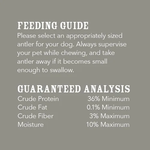 Miniatura 4 de Marca Amazon – Cuerno de alce dividido Wag con desprendimiento natural, de larga duración para masticadores agresivos, mediano