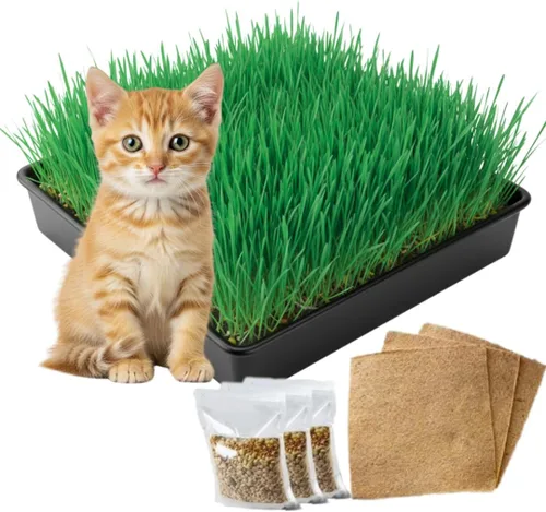 Kit de cultivo de hierba para gatos, semillas orgánicas, tapetes de cultivo de yute, contenedor de cultivo de 10 x 10 pulgadas, ideal para gatos de