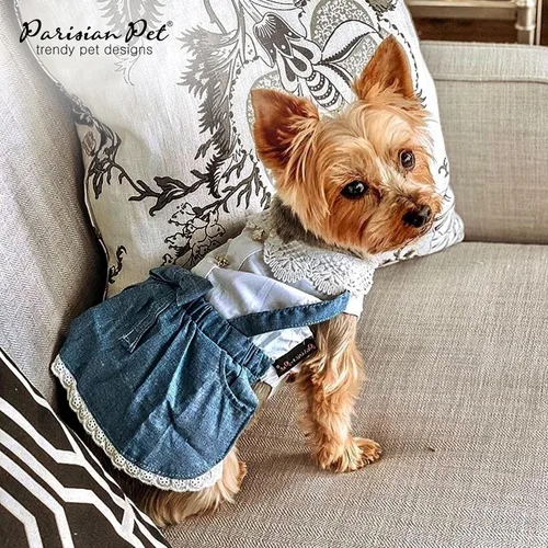 Miniatura 6 de Parisian Pet Chambray - Vestido para perro - Ligero sin mangas para perro, niña, talla XS Chambray en general