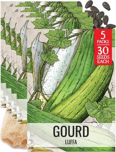Miniatura 13 de Seed Needs Semillas de calabacín para plantar calabaza de verano Black Beauty, sin OMG, reliquia y sin tratar, rendimientos prolíficos de deliciosos