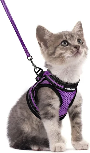 Miniatura 38 de rabbitgoo Juego de arnés y correa para gatos para caminar a prueba de escape, chaleco suave ajustable para gatitos con tira reflectante para gatos