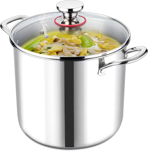 LIANYU Olla de 10 cuartos de galón con tapa, olla resistente de tres capas de 10 cuartos de galón, olla de acero inoxidable 18/10, olla de cocción
