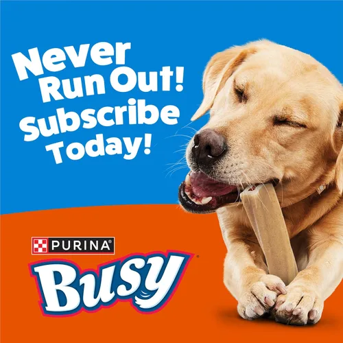 Miniatura 12 de Purina Busy Bone Dog Chew - Bocadillos para perros