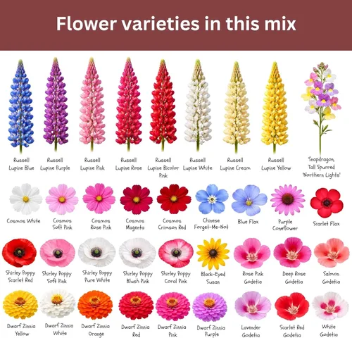 Miniatura 5 de Mix de semillas de flores silvestres para mariposas y colibríes – Más de 30.000 semillas – Paquete extra grande a granel resellable de 1 oz