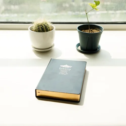 Miniatura 8 de BenOpinion Cuaderno rayado, cubierta de piel sintética negra, papeles gruesos de alta calidad de 3.53 oz/m² con borde dorado, 416 páginas A5