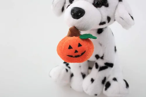 Miniatura 4 de Plushland Halloween Pawpals - Juguete de peluche de perro de 8 pulgadas que viene con sombrero y linterna Jack O Lantern de Halloween, calabaza