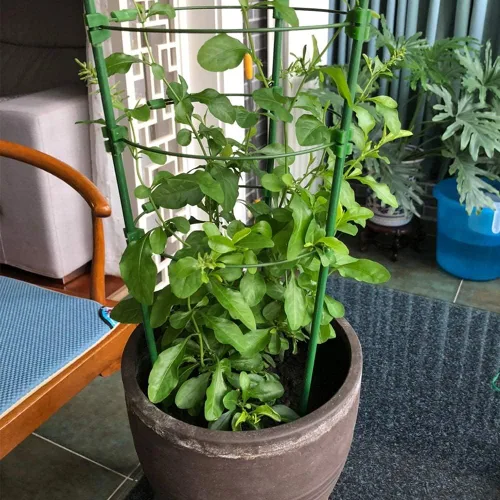 Miniatura 6 de FEED GARDEN Juego de 25 estacas de jardín de 24 pulgadas, 2 pies, soporte resistente de palos de metal para plantas, estacas recubiertas