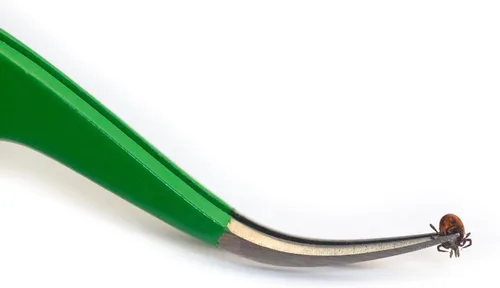 Miniatura 2 de TickCheck Kit de removedor de garrapatas de alta calidad, removedor de garrapatas de acero inoxidable + pinzas, funda de cuero y tarjeta