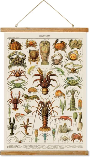 Ovfovy Póster vintage de cangrejo, estética de habitación rústica, impresiones artísticas retro sin decoloración, impreso en lino con marcos de