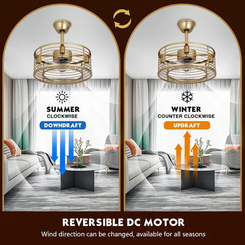 Miniatura 3 de Chinco Star Ventilador de Techo Enjaulado con Luz, Ventilador de Techo Fandelier Dorado y Control Remoto - Motor Reversible, Viento de 6