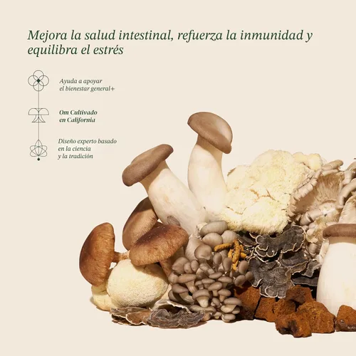 Miniatura 2 de Om Master Blend Polvo de hongo orgánico, complejo de 10 hongos, extracto de Reishi y adaptógenos, salud vibrante, suplemento de hongos inmunes, 3.17