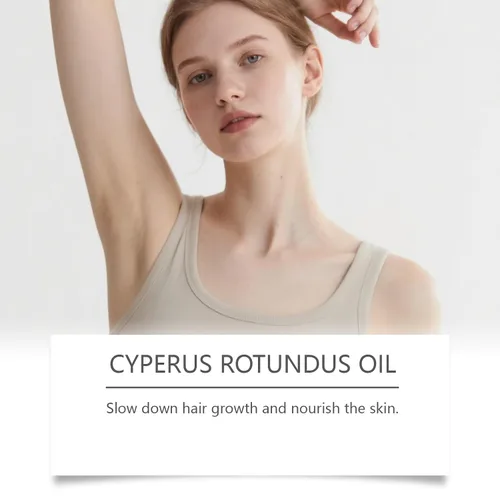 Miniatura 3 de Renovia Cyperus Rotundus Oil, aceite Cyperus Rotundus para depilación, profundamente hidratante y encogimiento de poros para mujeres y hombres, 2.02