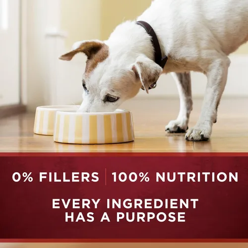 Miniatura 8 de Purina ONE SmartBlend True Instinct - Alimento en lata para perros adultos